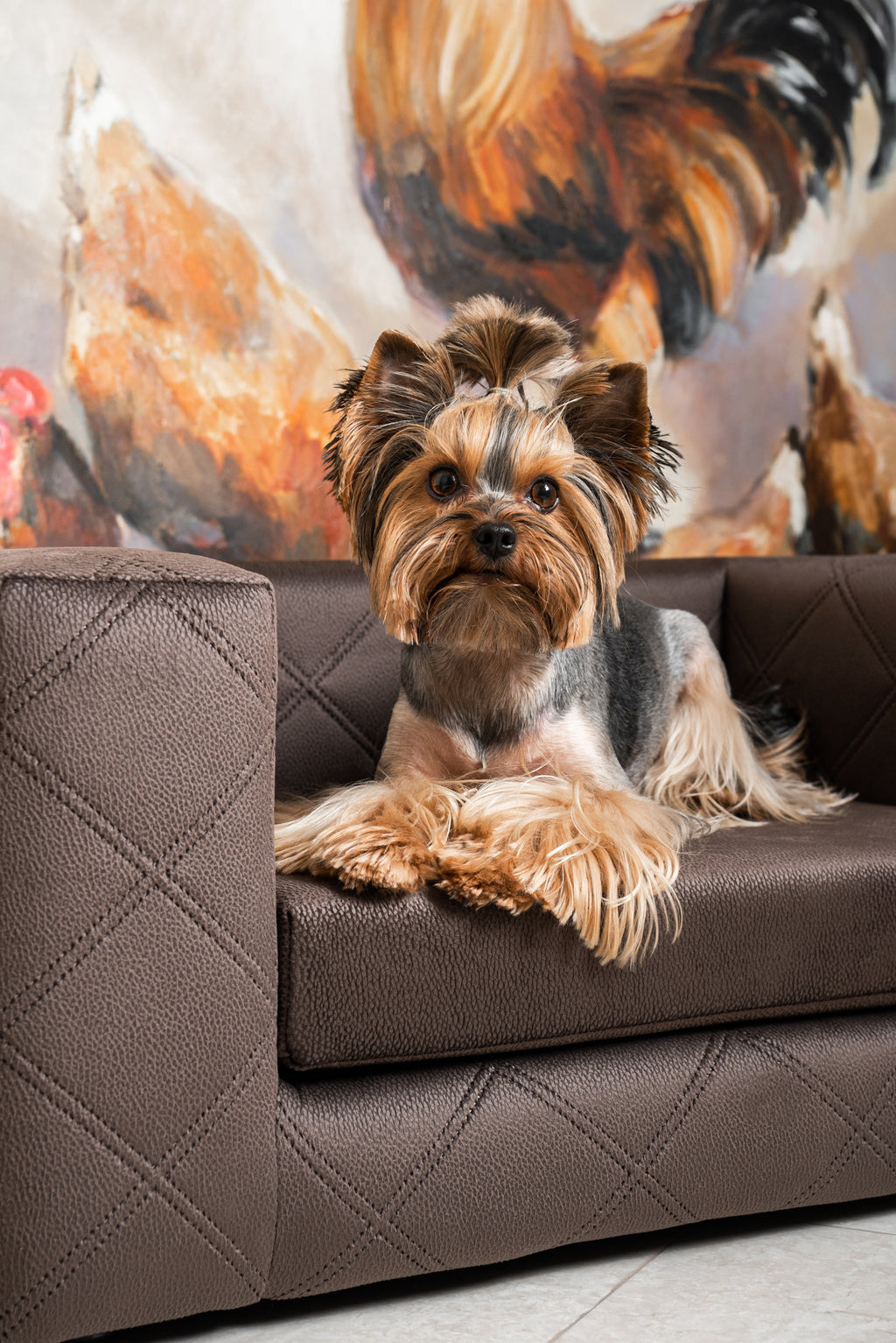MYSTIQUE Luxury Pet Sofa