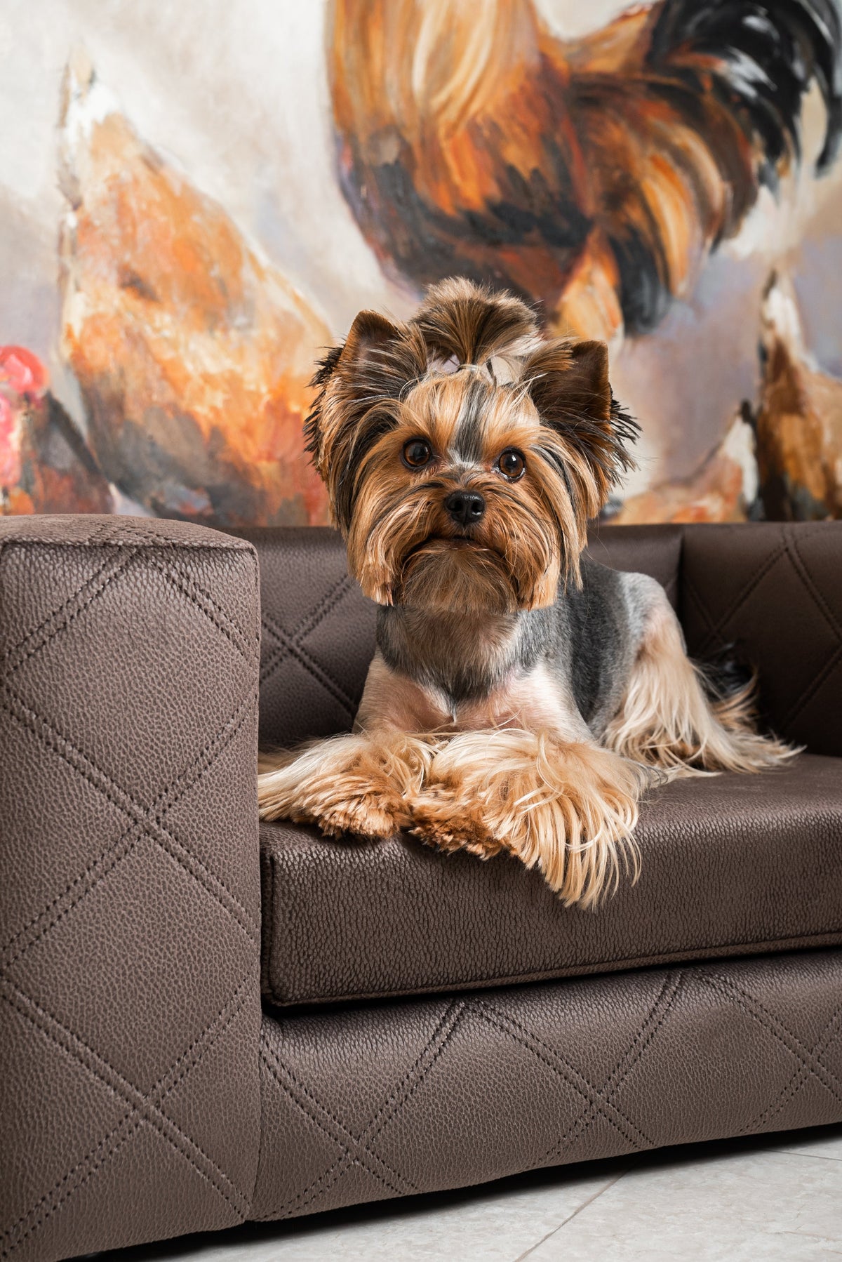 MYSTIQUE Luxury Pet Sofa