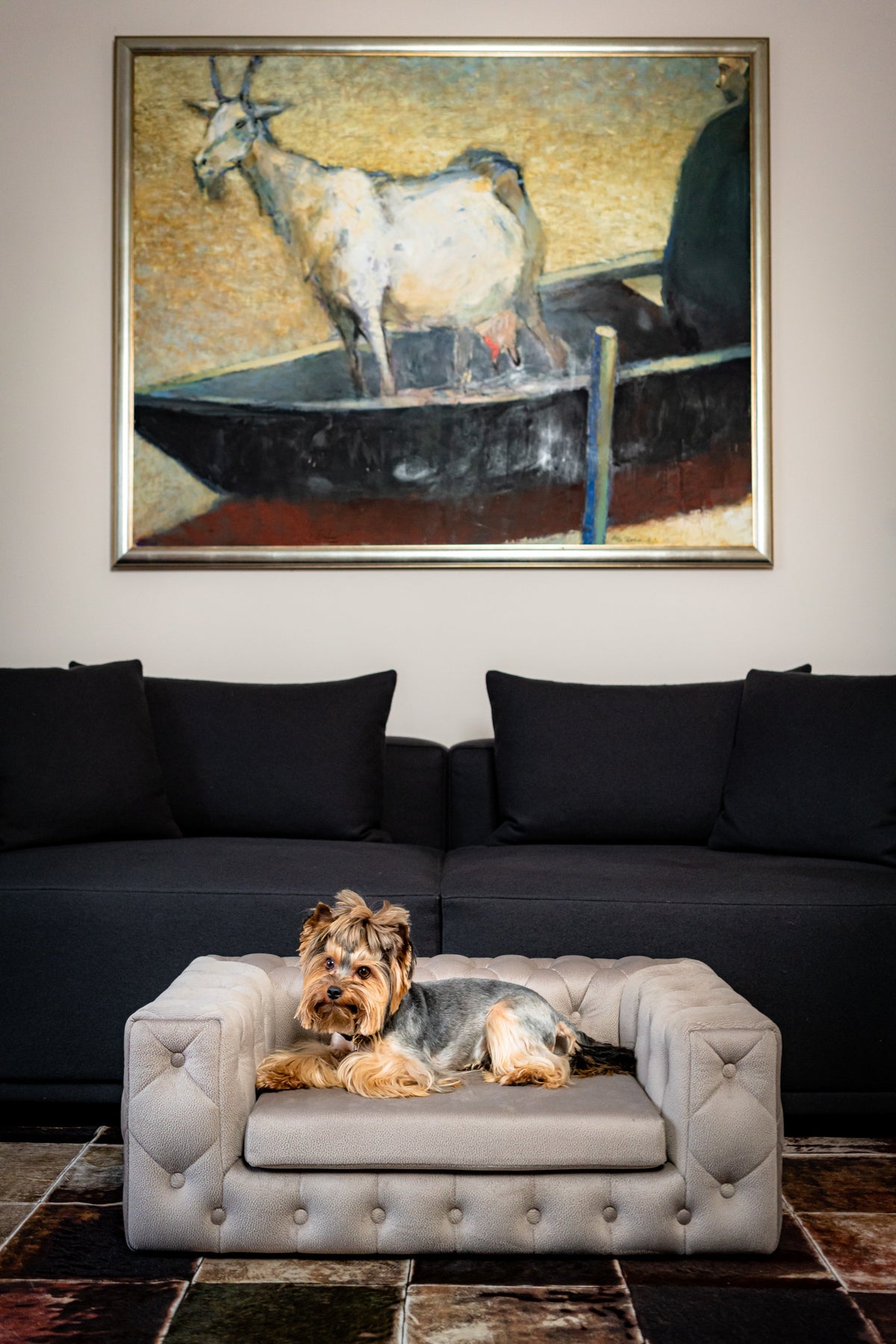 Royal Dog Sofa