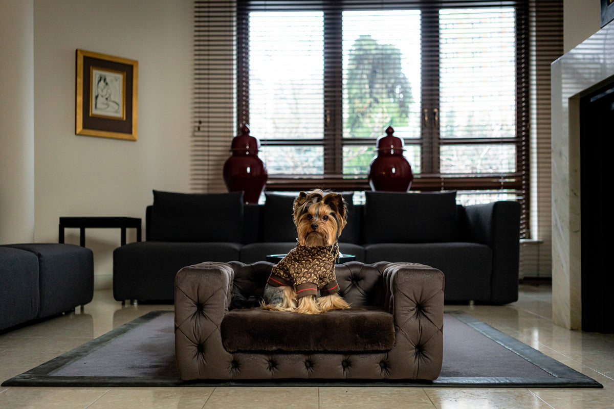 GLAMOUR Super Soft Pet Sofa (Limited Edition)
