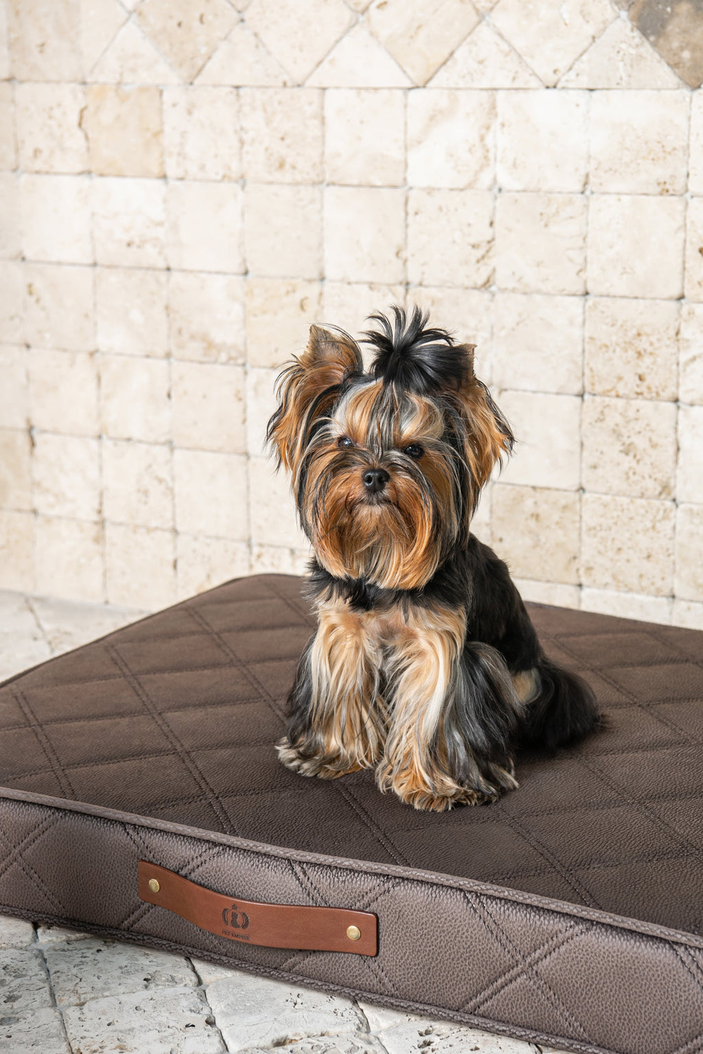 Diamond-Enhanced Cushion
