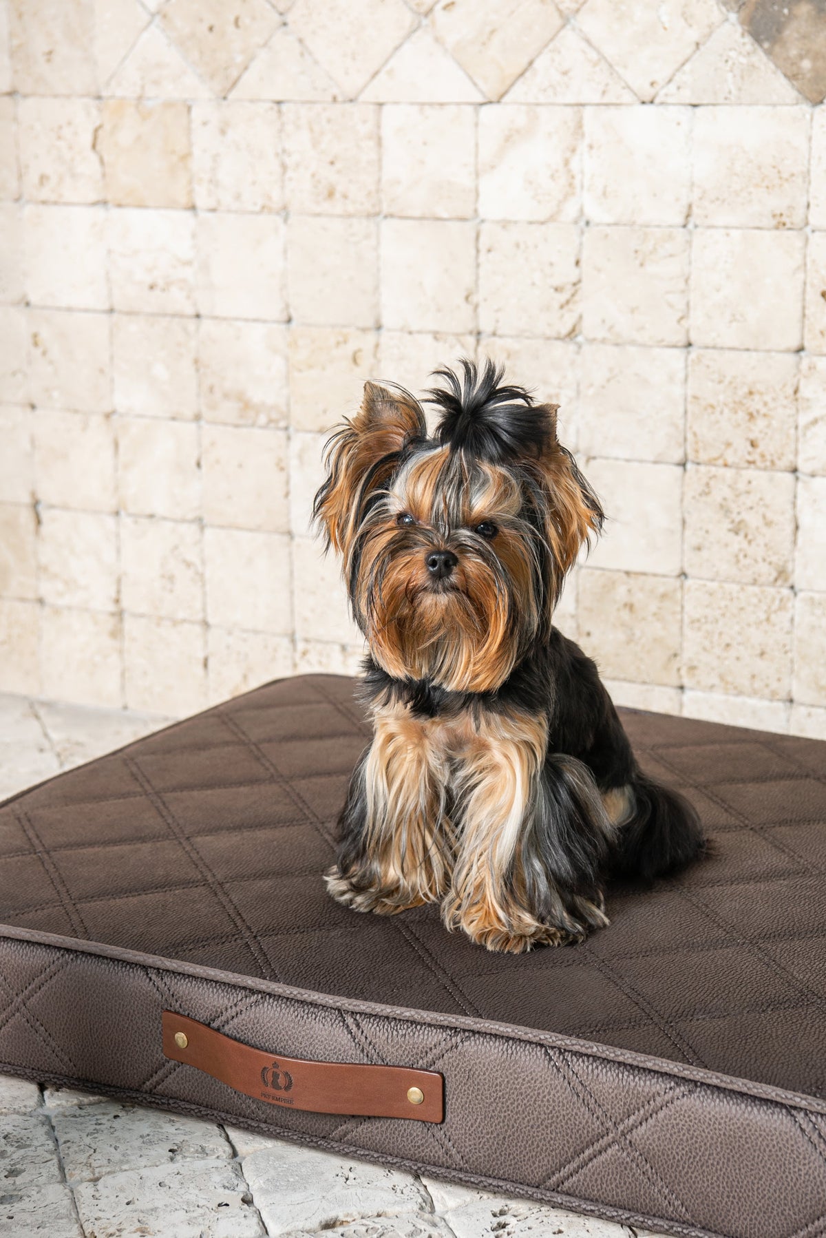 Diamond-Enhanced Cushion