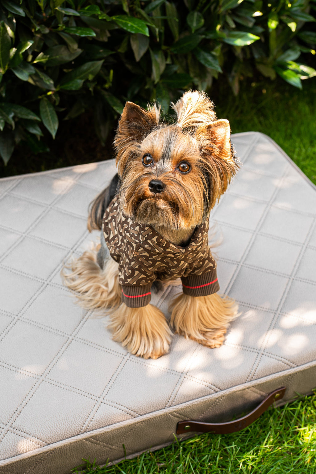 Diamond-Enhanced Cushion