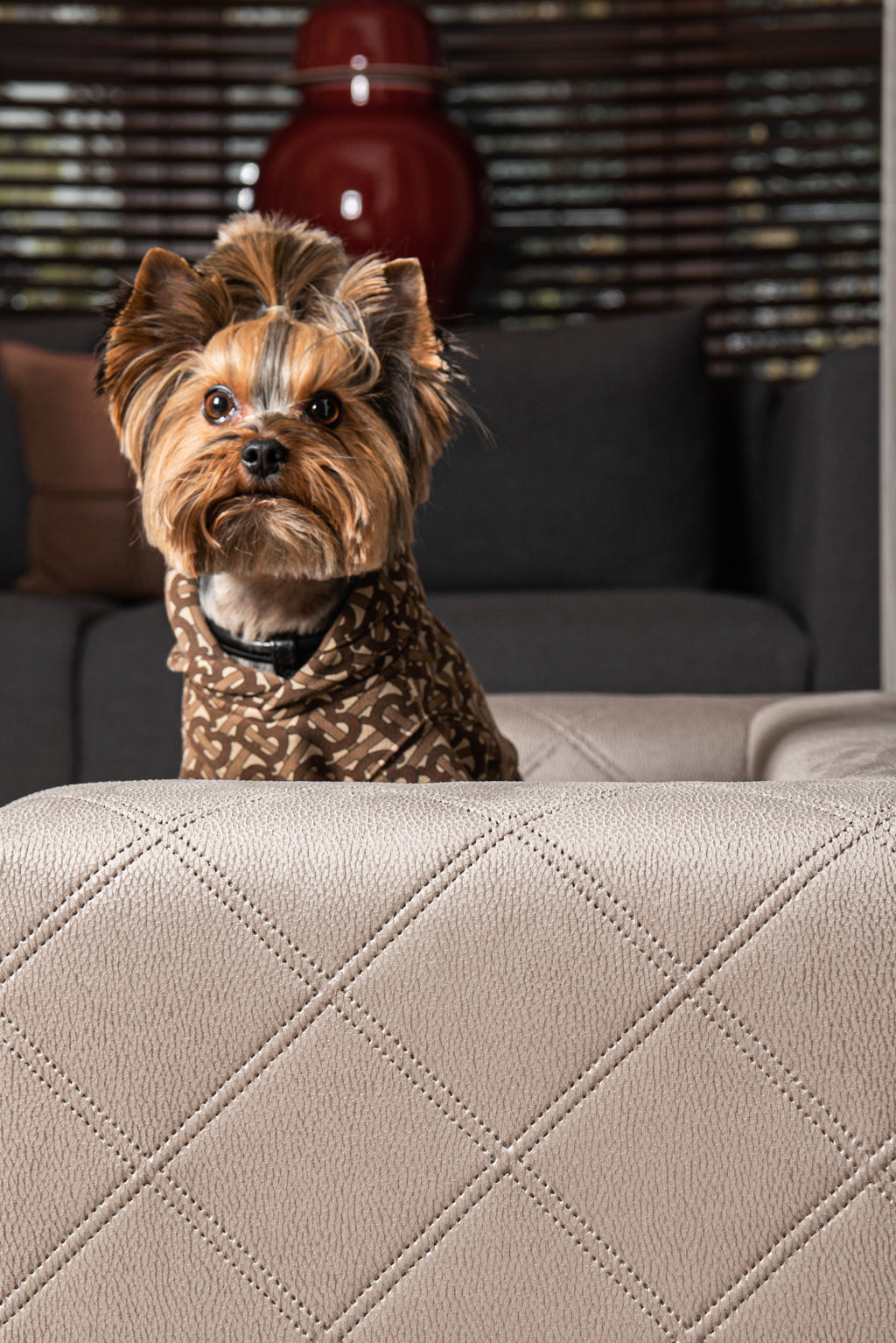 MYSTIQUE Luxury Pet Sofa