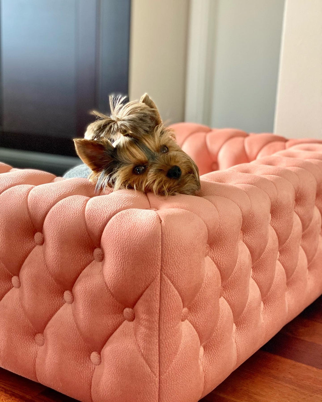 Royal Dog Sofa