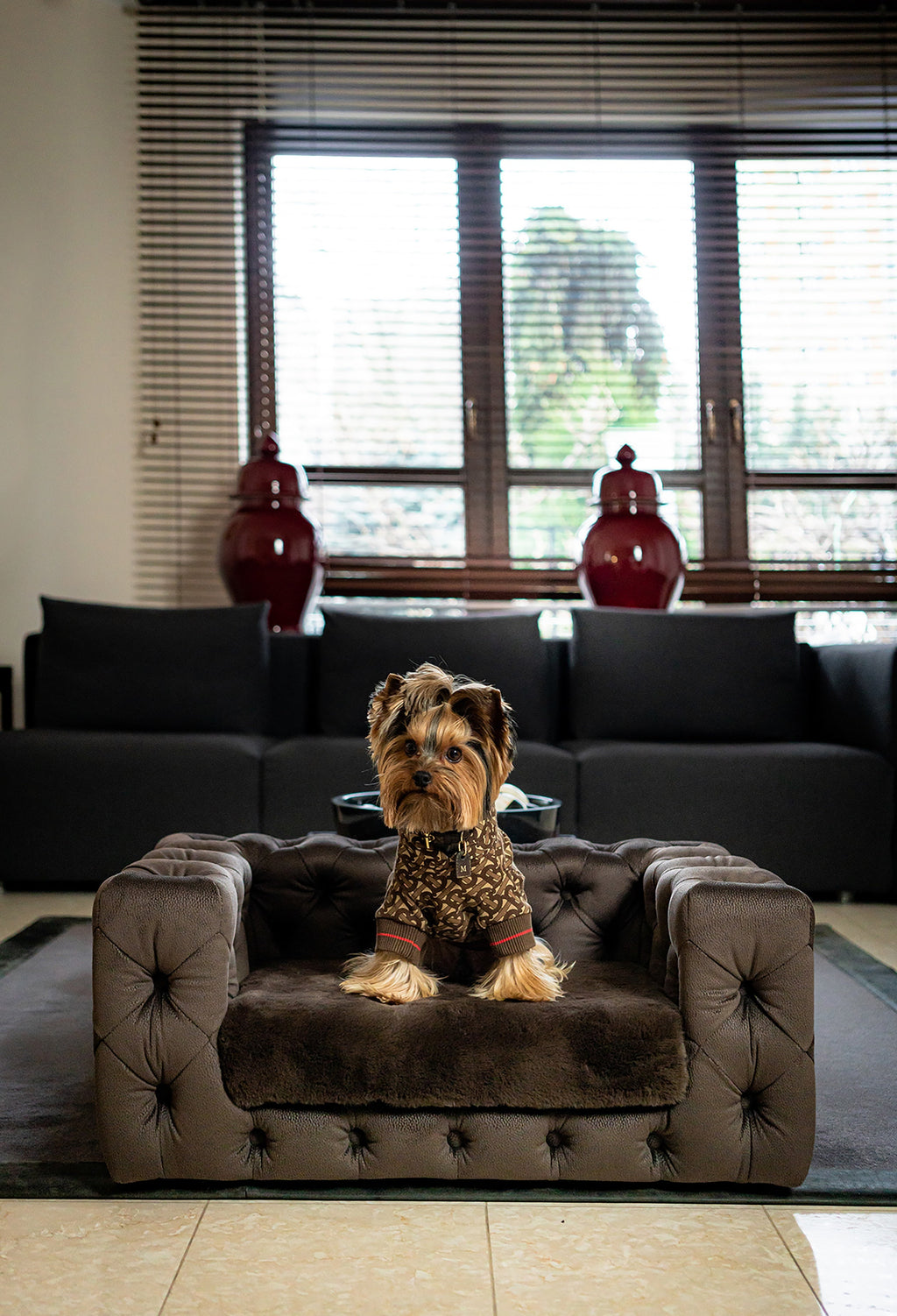 GLAMOUR Super Soft Pet Sofa (Limited Edition)