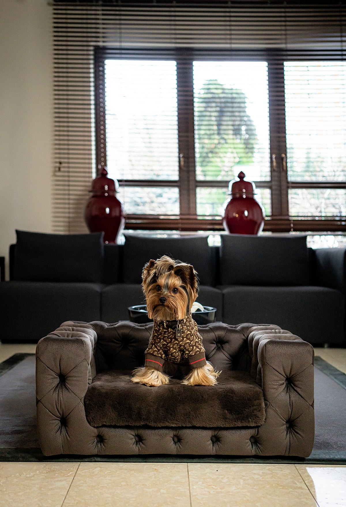 GLAMOUR Super Soft Pet Sofa (Limited Edition)