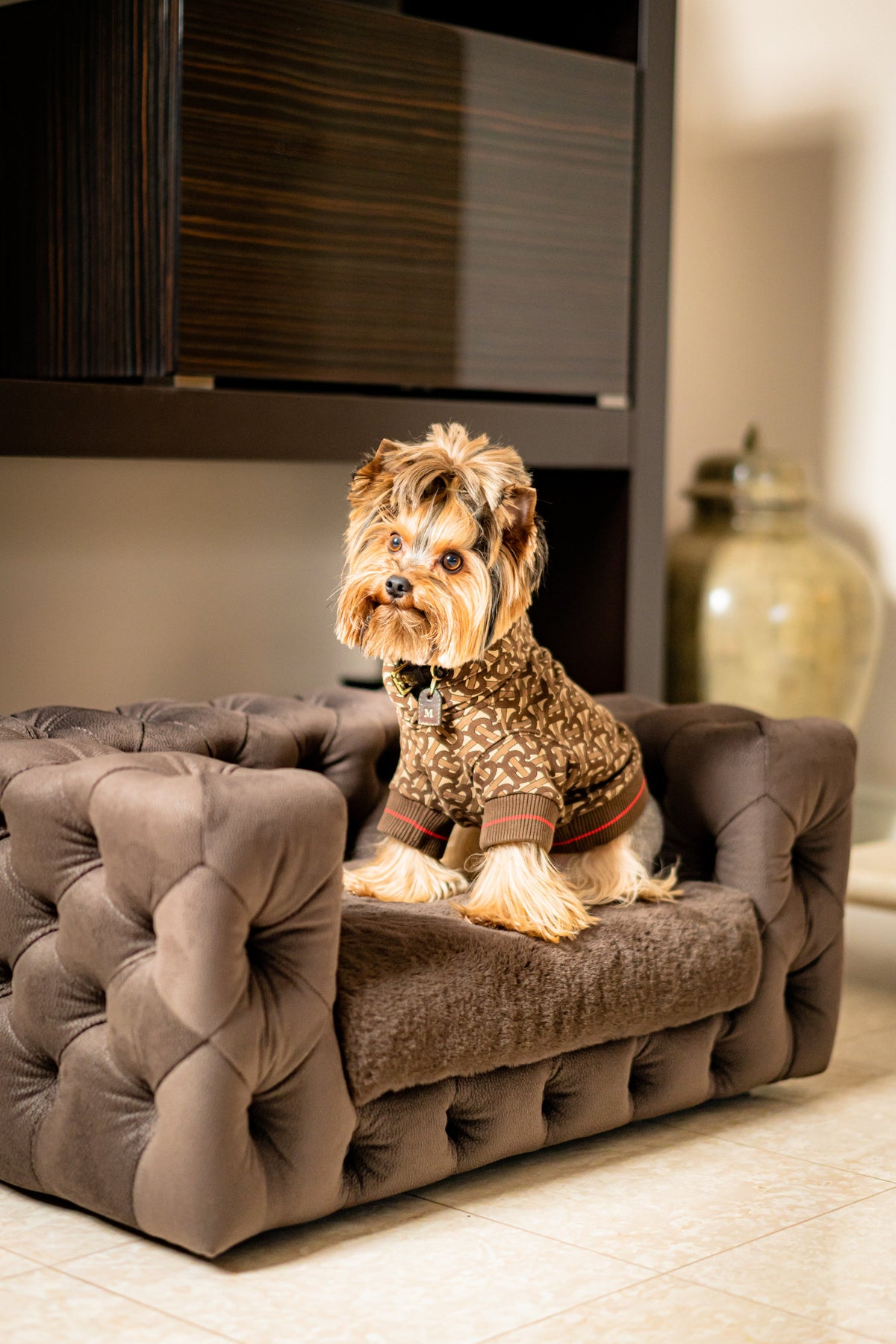 GLAMOUR Super Soft Pet Sofa (Limited Edition)
