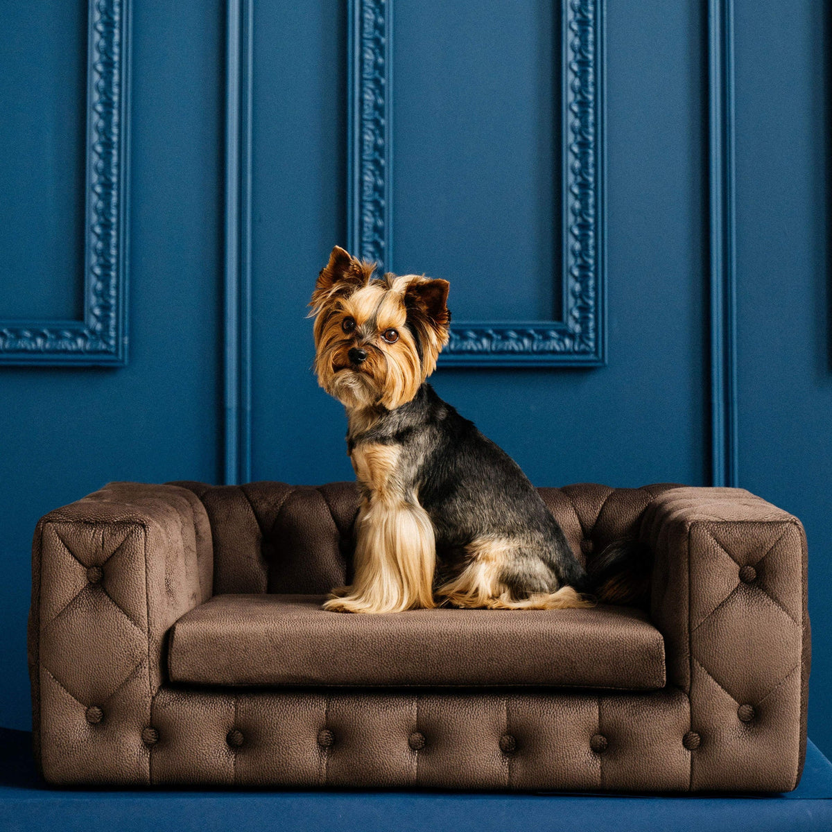 Royal Dog Sofa